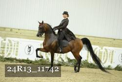 24R13_11742 thumbnail