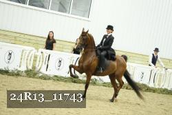 24R13_11743 thumbnail