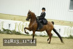24R13_11744 thumbnail