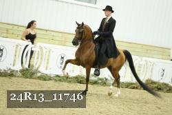 24R13_11746 thumbnail