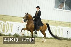 24R13_11747 thumbnail