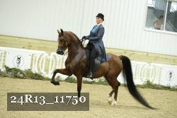 24R13_11750 thumbnail