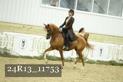 24R13_11753 thumbnail