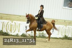 24R13_11754 thumbnail