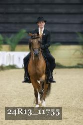 24R13_11755 thumbnail