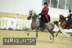 24R13_11756 thumbnail