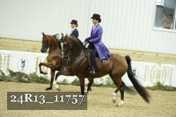 24R13_11757 thumbnail