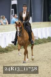 24R13_11758 thumbnail