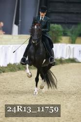 24R13_11759 thumbnail