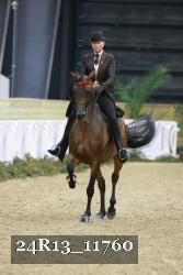 24R13_11760 thumbnail