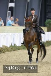 24R13_11761 thumbnail