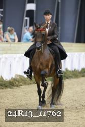 24R13_11762 thumbnail