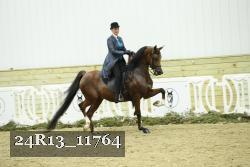 24R13_11764 thumbnail