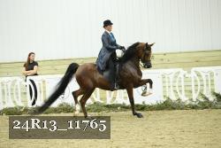 24R13_11765 thumbnail