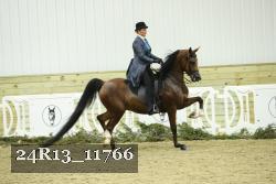 24R13_11766 thumbnail