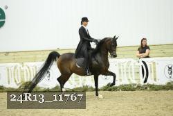 24R13_11767 thumbnail