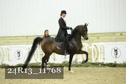 24R13_11768 thumbnail