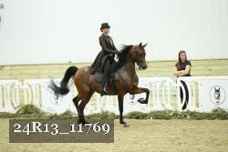 24R13_11769 thumbnail