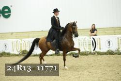 24R13_11771 thumbnail