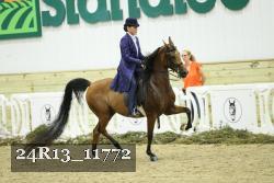 24R13_11772 thumbnail