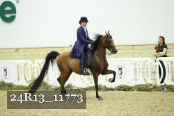 24R13_11773 thumbnail