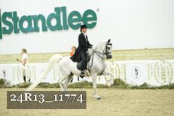 24R13_11774 thumbnail