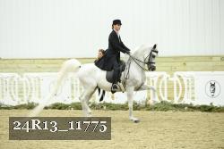 24R13_11775 thumbnail