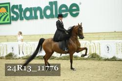 24R13_11776 thumbnail