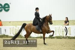 24R13_11777 thumbnail