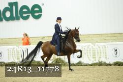 24R13_11778 thumbnail