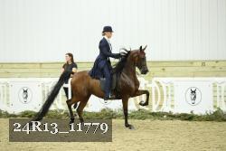 24R13_11779 thumbnail