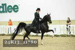 24R13_11780 thumbnail