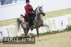 24R13_11781 thumbnail