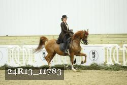 24R13_11783 thumbnail