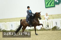 24R13_11784 thumbnail