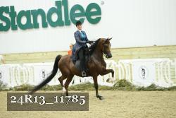 24R13_11785 thumbnail