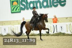 24R13_11789 thumbnail