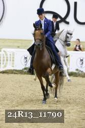 24R13_11790 thumbnail
