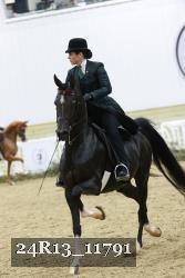 24R13_11791 thumbnail