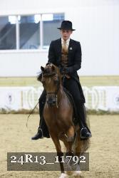 24R13_11792 thumbnail