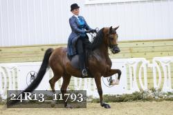 24R13_11793 thumbnail