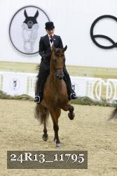 24R13_11795 thumbnail