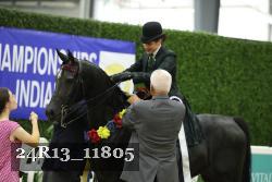 24R13_11805 thumbnail