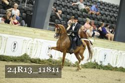 24R13_11811 thumbnail