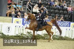 24R13_11814 thumbnail