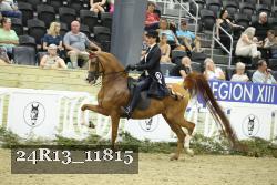 24R13_11815 thumbnail