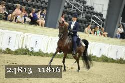 24R13_11816 thumbnail