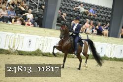 24R13_11817 thumbnail