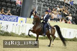 24R13_11818 thumbnail