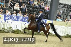 24R13_11819 thumbnail